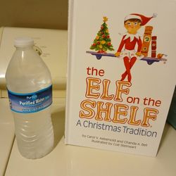 Vintage 2005 Girl Elf On The Shelf Book. Has Not Been Written In. 