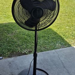 Standing Fan