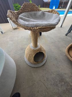 Cat scratcher /bed