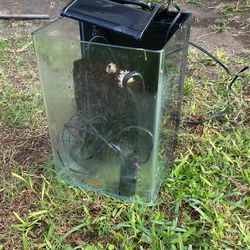 5 Gallon Tall Aquarium