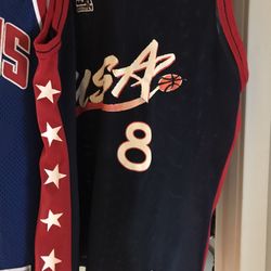 Vintage, Champion jersey, Nike Air Pippens Bulls