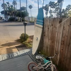 Chris RUDDY MINI DRIFTER SURFBOARD