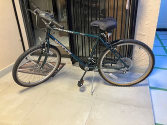 Bicicleta 16