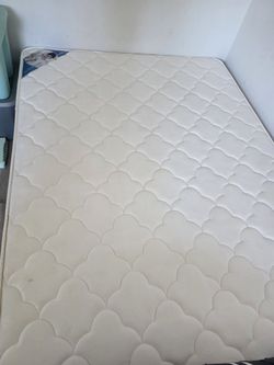 8" Palm Coir Mattress, Queen — Extra Firm, Like New