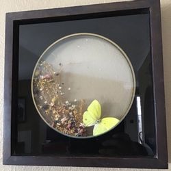 Vintage Yellow Butterfly & Dried Flowers Shadow Box Wall Decor