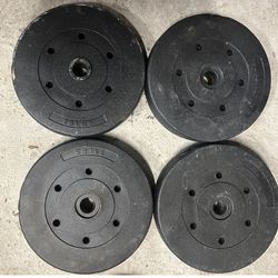 60 Lbs  Weights 