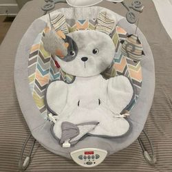 Fisher aprieta Bouncer Chair