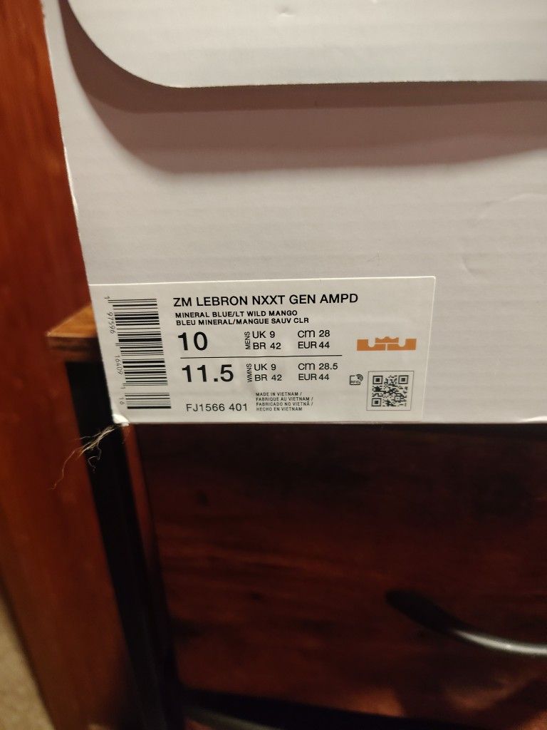 LeBron Next Gen Ampd