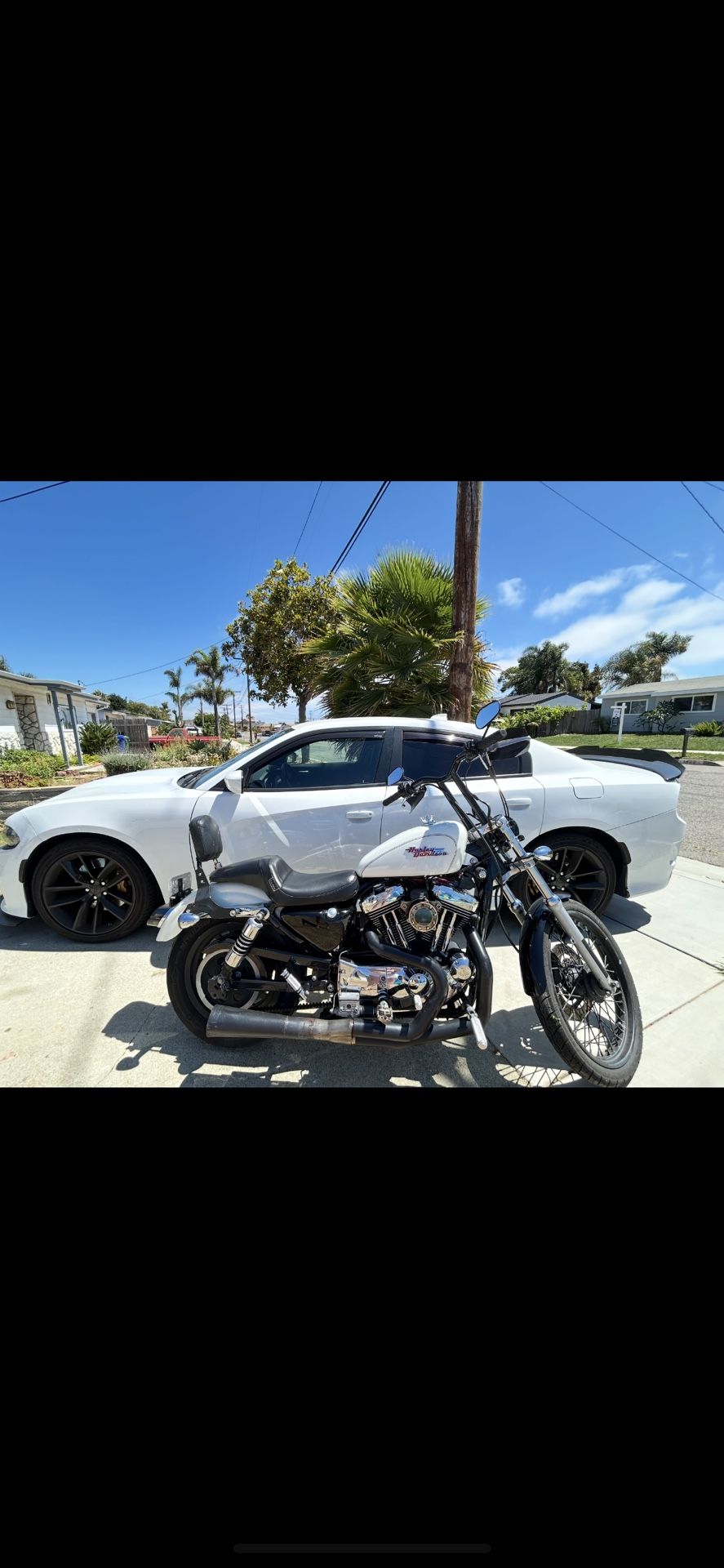 2002 harley davidson sportster 1200