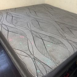 King Size Bed With 2 Twin Box Springs Used