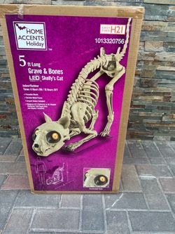 5 ft Grave & bones Led skelly’s cat