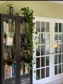 Bookshelf with glass doors