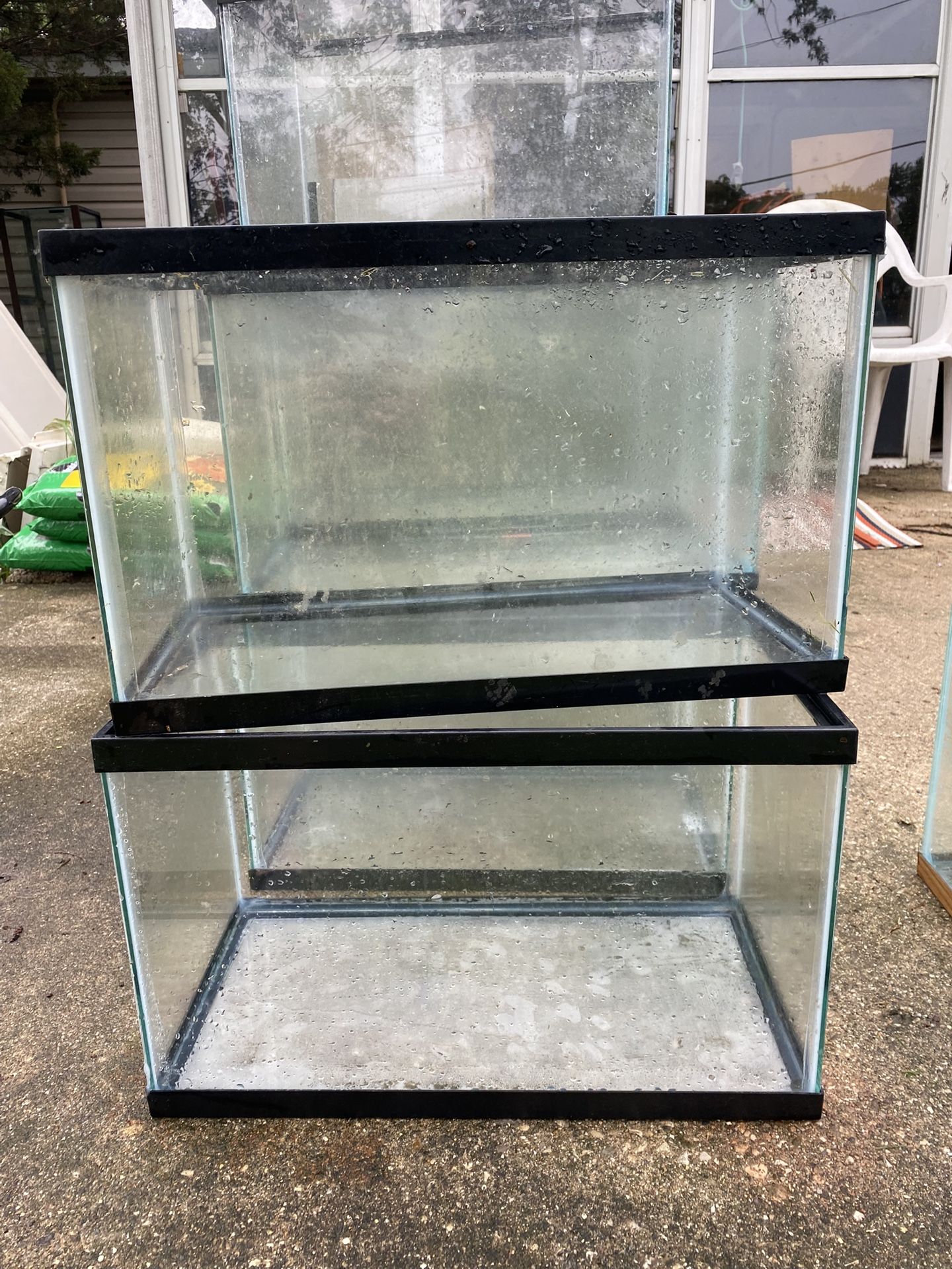10 Gallon Fish Tank