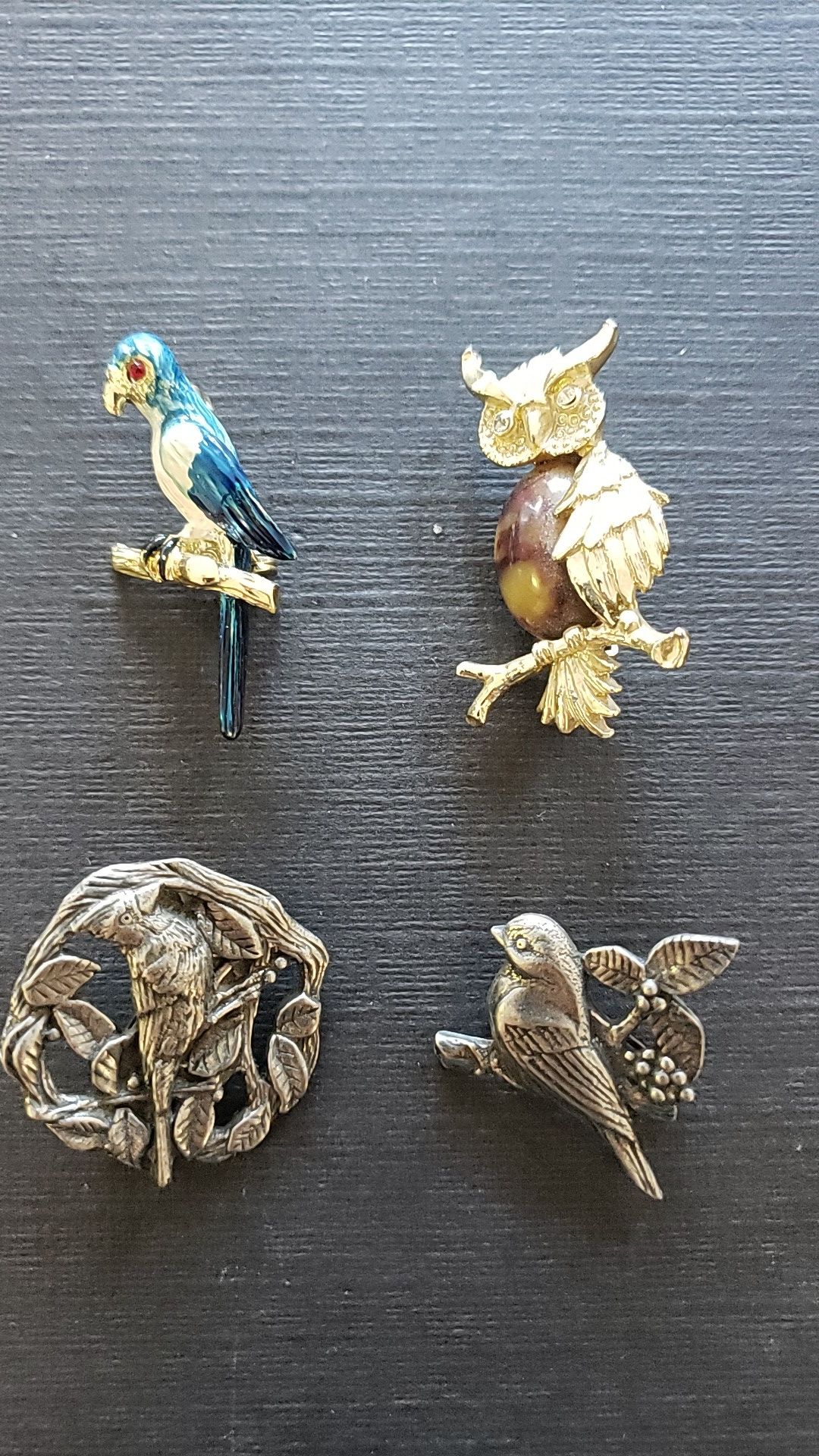 Clothing pins birds