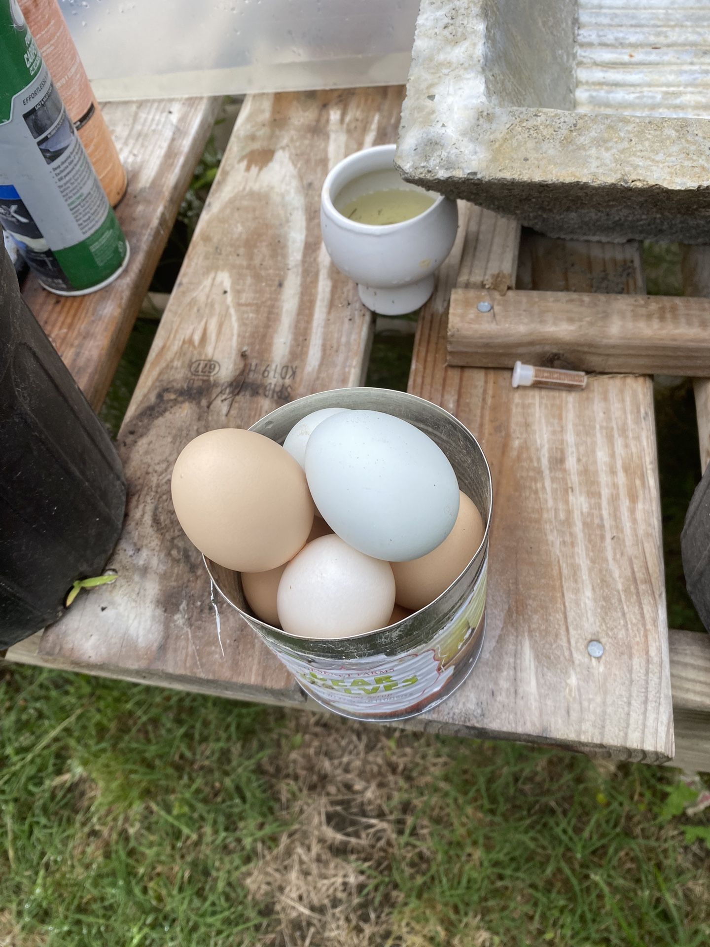 Dozen Eggs