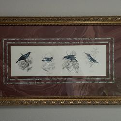 Set Of Two Framed And Matted Bird Prints