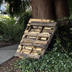 Wood pallets (2) – free