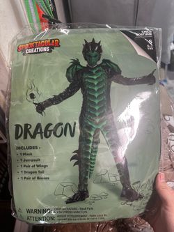 Dragon Costume