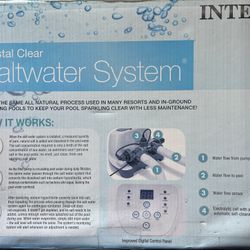 Intex saltwater system