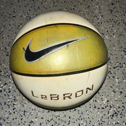 LeBron Basketball 