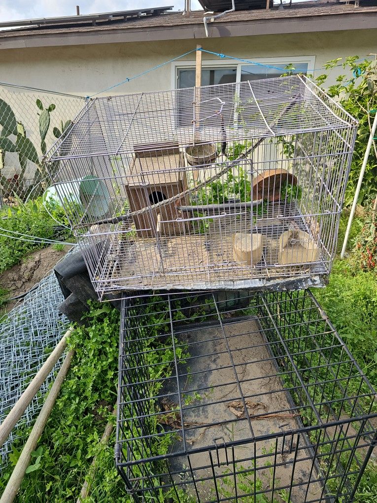 Bird Cage