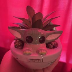 Baby Yoda Succulent Plant 