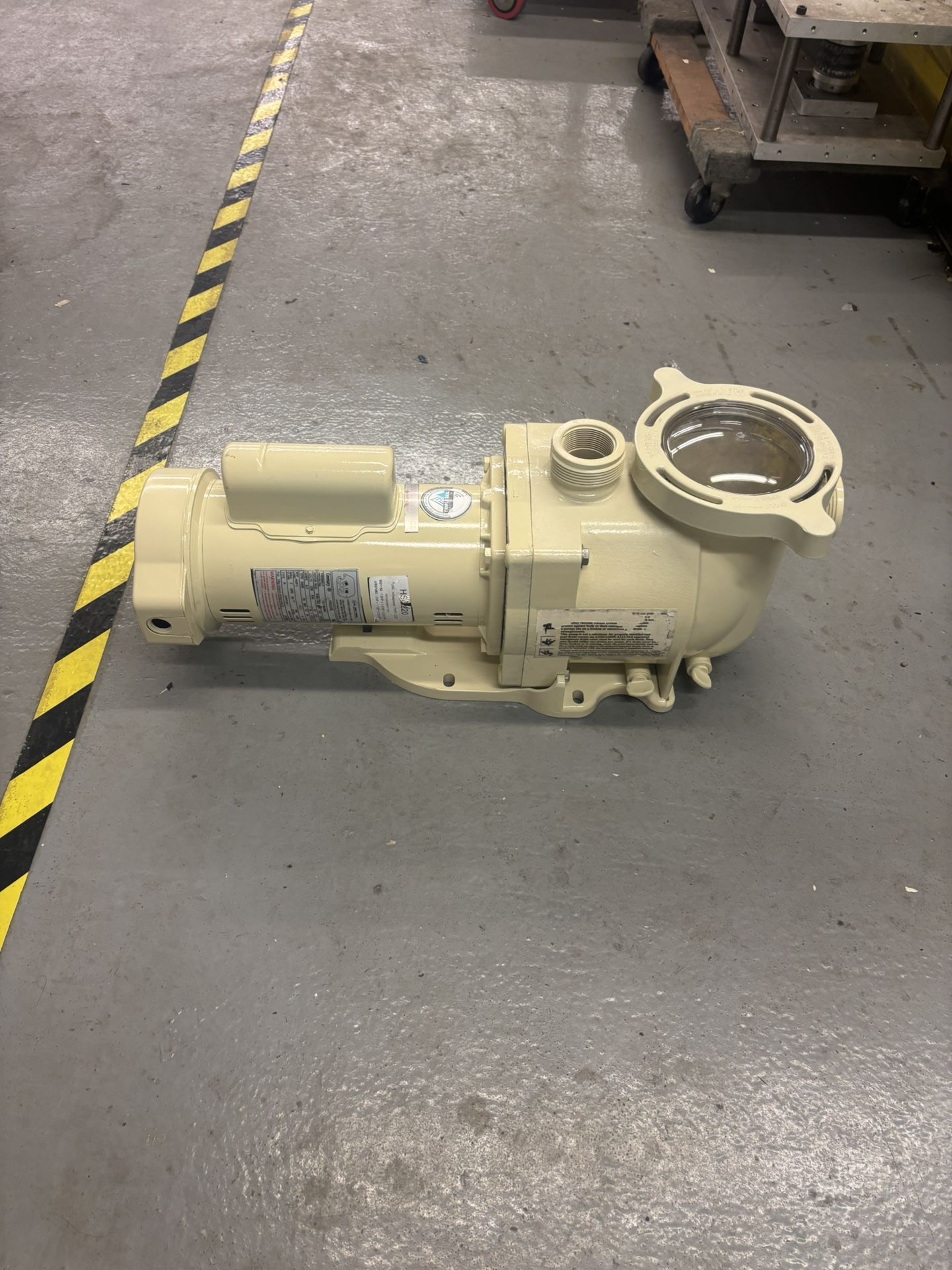 Pool Pump