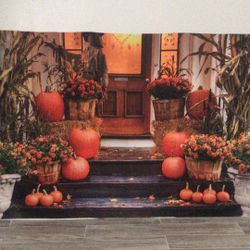 Backdrops Para Tus Fotos 2x $35