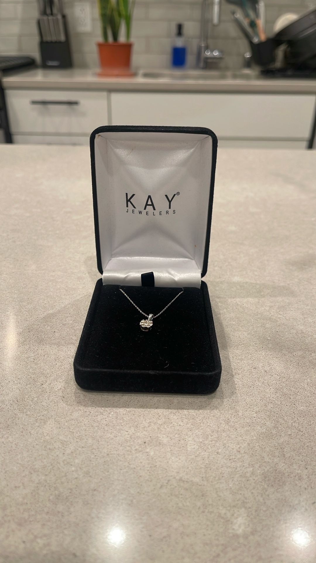 Kay Jewelers Necklace
