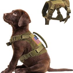 Dog Vest Harness And Bungee Dog Leash