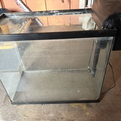 Fish Tank 