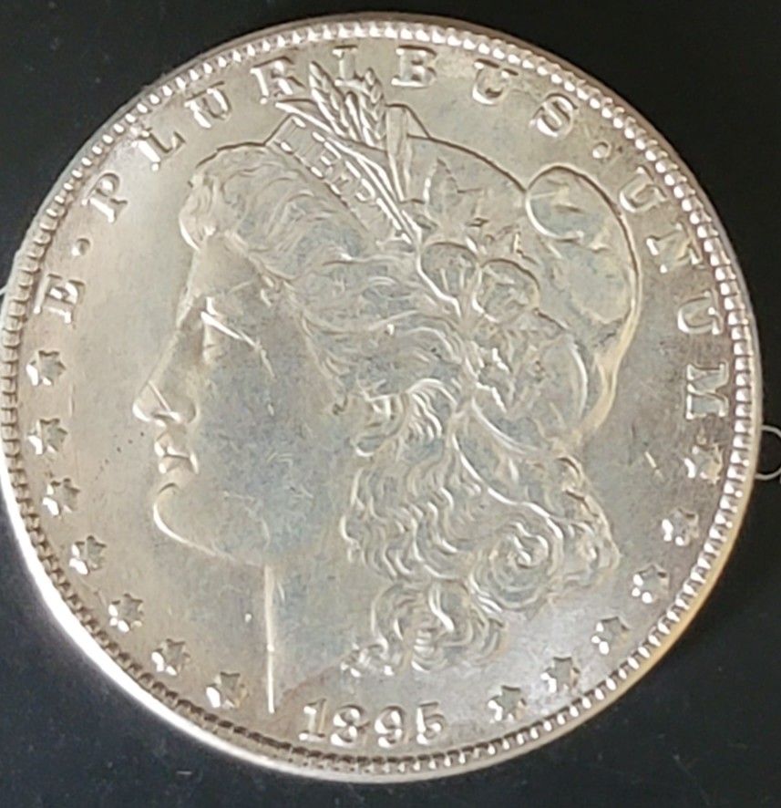 Morgan Dollar 1895 S
