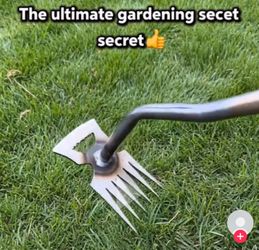 1 Weed Removal Tool