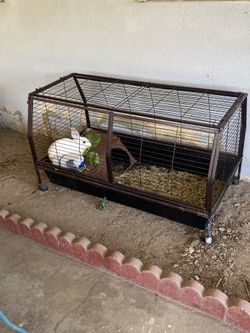 Pet Enclosure