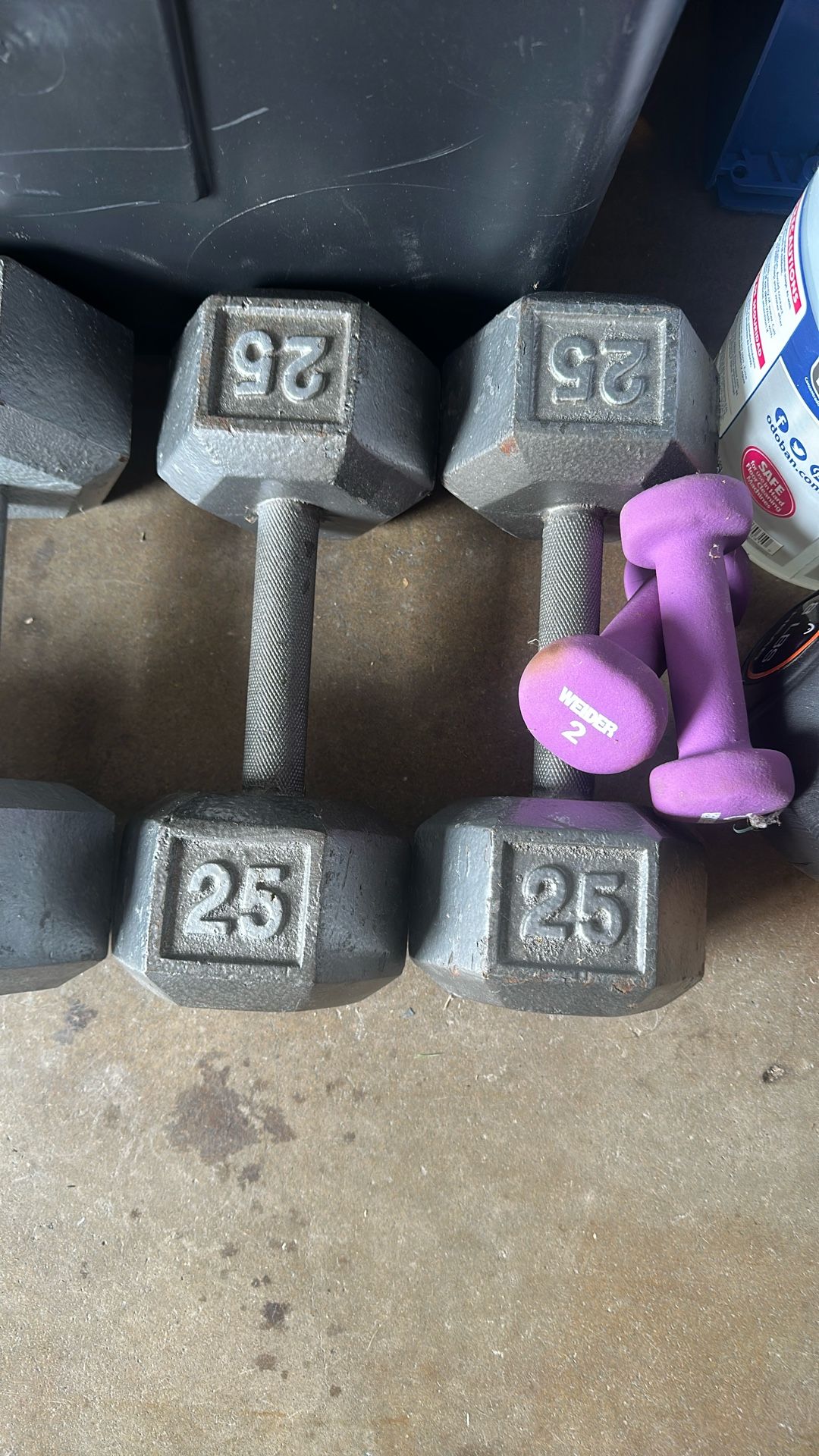 25 Lbs  Dumbbells 