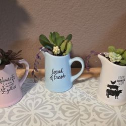 Set of 3 Mini Ceramic Pitcher with Live Succulents 
