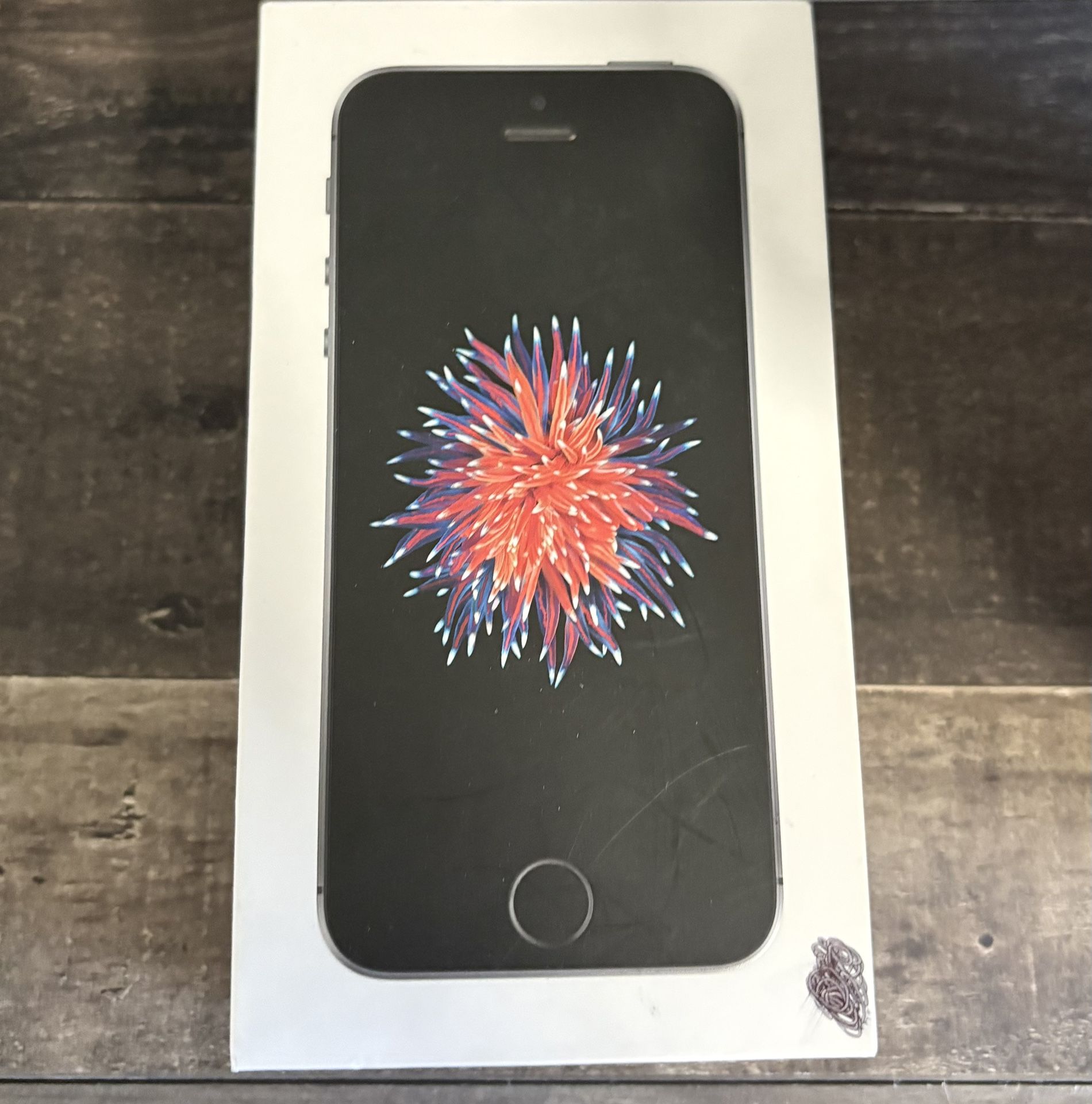 iPhone SE