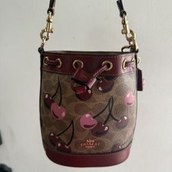 Coach Cherry Mini Bucket 