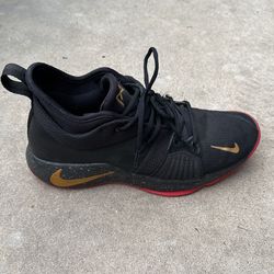 Nike zoom PG