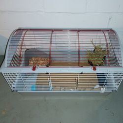 Small Animal Cage + Supplies