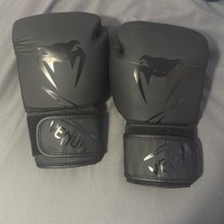 Venum 14 Oz Boxing Gloves