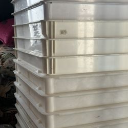 Dough Trays 