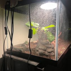 Reptile Tank 