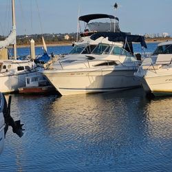 1990 Searay 220 DA