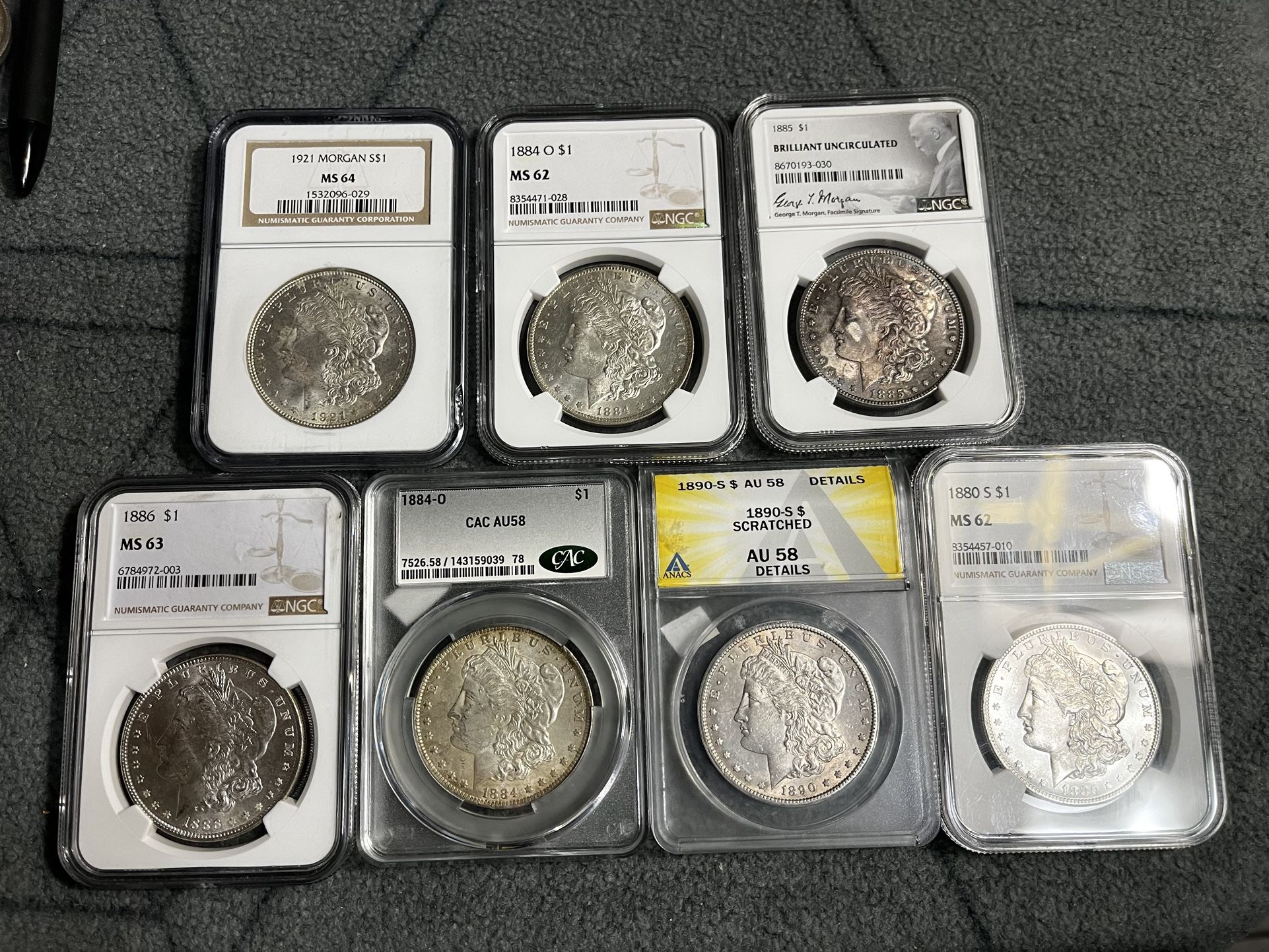 Morgan Silver Dollar - Graded Slabs