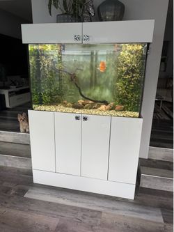Amazing Saltwater 150 gallon Aquarium/Fish Tank