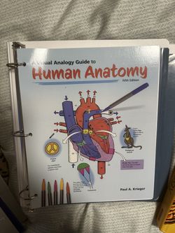 Human Anatomy Visual Guide