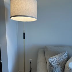 75” Tall Arc Floor Lamp with Remote