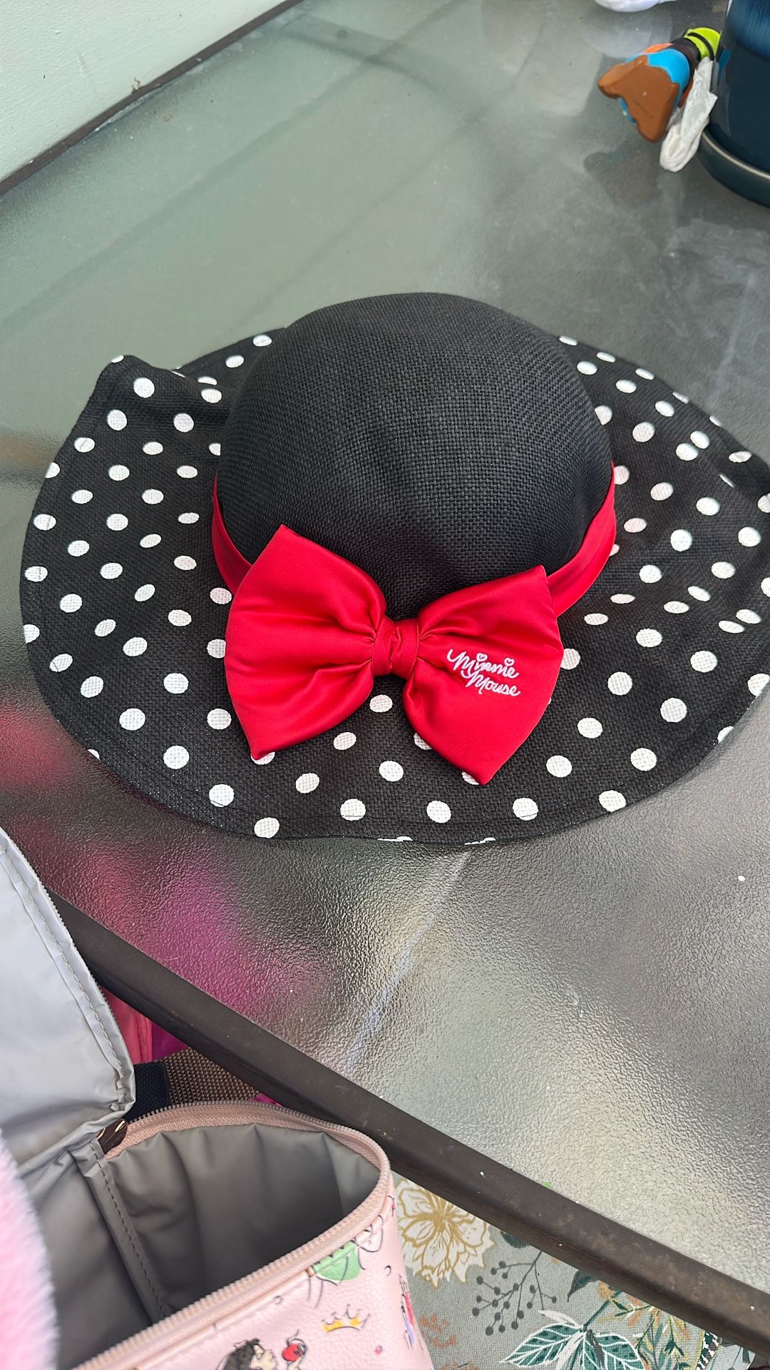 Disneyland Hat