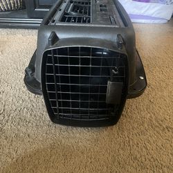 Small animal carrier